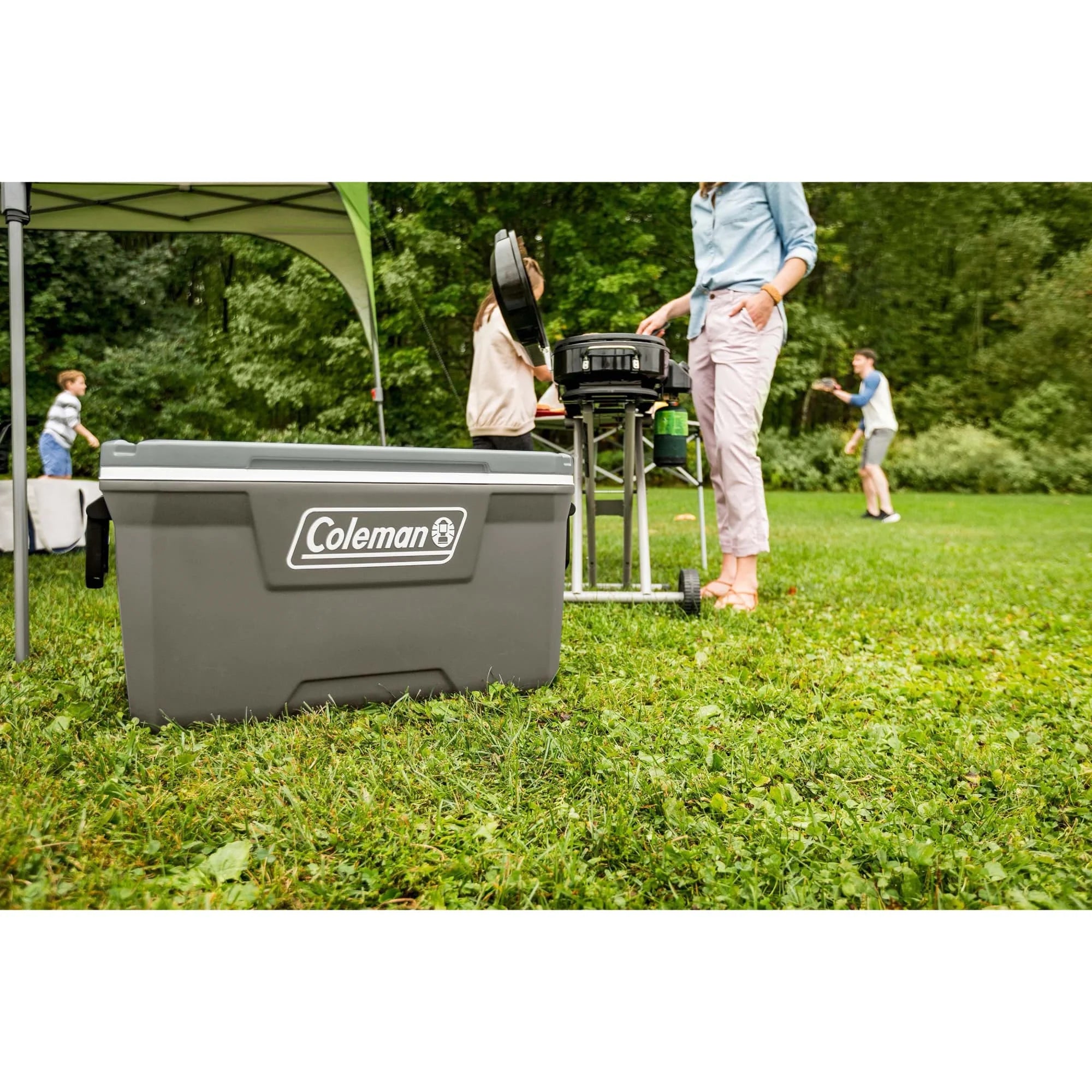 316 Series 70QT Hard Chest Cooler, Silver Ash